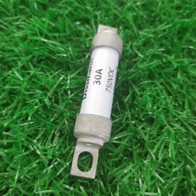  Fusible des véhicules à moteur standard britannique de fusible du fusible BS88 de Dissmann
