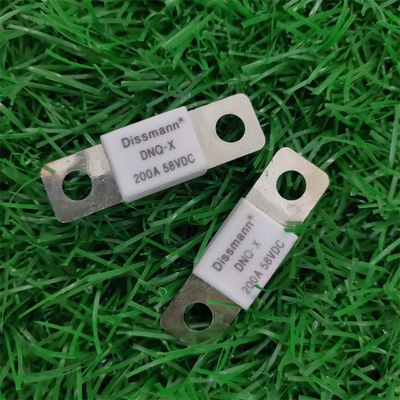 Fusible en céramique de prise de Mini Size Low Voltage Flat avec de forte stabilité et la sécurité
