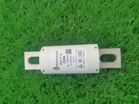 professionnel des véhicules à moteur à courant élevé des fusibles 1000VDC pour le chargeur d'EV