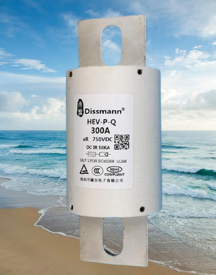 Utilisation à grande vitesse de fusible de semi-conducteur de DC750V pour la puissance de chargeur d'EV