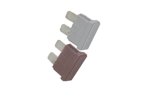 Forme plate matérielle temporaire rapide des véhicules à moteur allumée du fusible PBT de 1 ampère