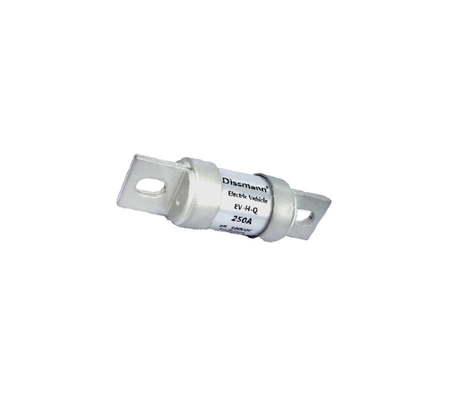 Blanc fusible des véhicules à moteur de 250 ampères, norme du fusible UL248-20 de voiture électrique