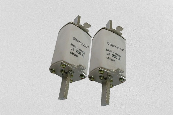 Fusible de Hrc de tuyau de fibre 250 ampères, Mini Blade Car Fuses à haute tension