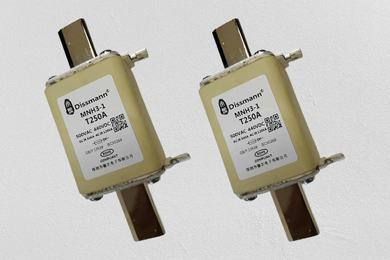Type à haute tension courant évalué de rupture élevé de NH de la capacité 250A de fusible de HRC