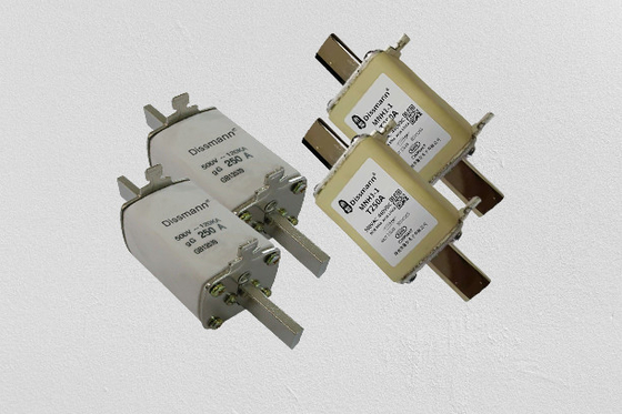 Le haut fusible de rupture 600VDC de capacité de NT droite NH a évalué la tension IEC60269