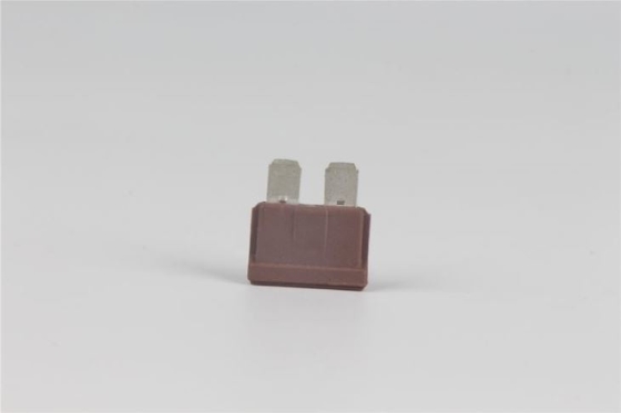 80v prise de 40 ampères dans tension matérielle de action rapide du fusible PBT la basse