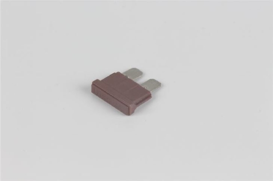 80v prise de 40 ampères dans tension matérielle de action rapide du fusible PBT la basse