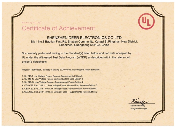 Chine Dissmann | Global Expert Fuse for EV | HEV | Photovoltaic | Battery | Energy Storage Solutions Certifications