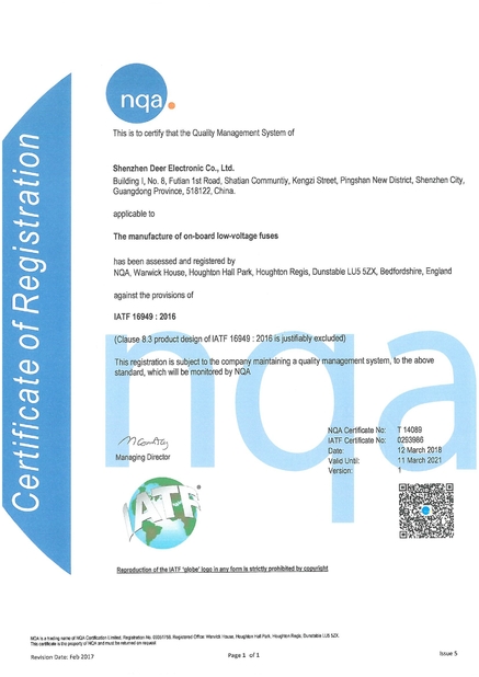Chine Dissmann | Global Expert Fuse for EV | HEV | Photovoltaic | Battery | Energy Storage Solutions Certifications