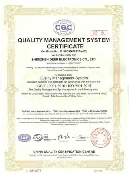 Chine Dissmann | Global Expert Fuse for EV | HEV | Photovoltaic | Battery | Energy Storage Solutions Certifications